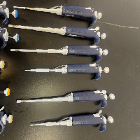 Gilson Pipetman Single Channel Pipettes - Quantity 11 image 1